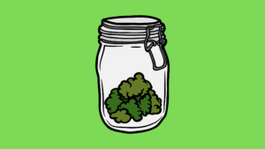 How To Store Cannabis Buds For Long Life And Potency Preservation