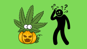 How To Tell Cannabis Is Ready For Harvesting