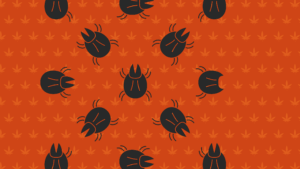 Add A Subheading 1 1