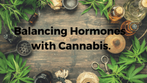Balancing Hormones With Cannabis