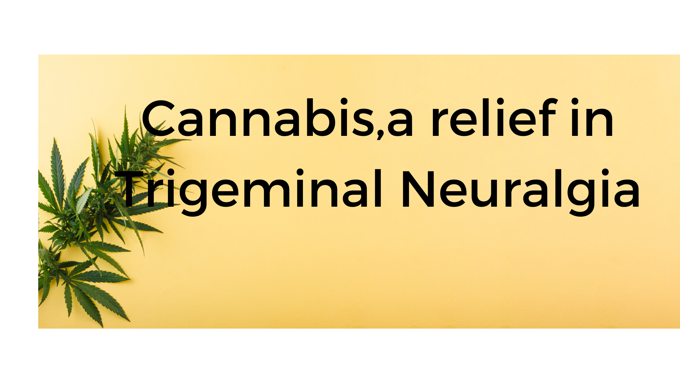 Cannabis A Relief In Trigeminal Neuralgia