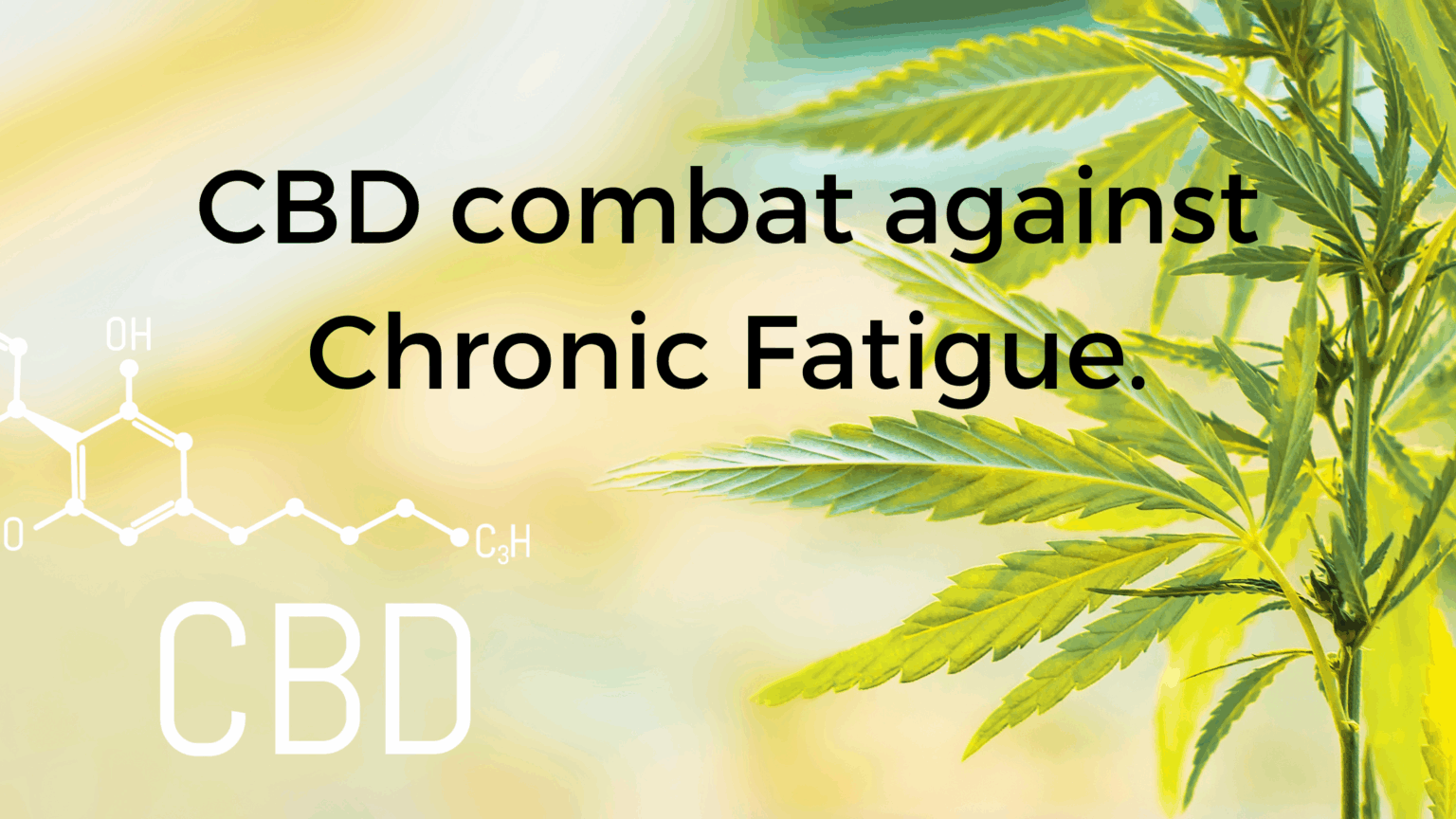 Cannabis for Managing Chronic Fatigue Syndrome. - Cannabis Growers Blog