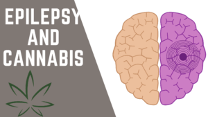 Epilepsy And Cannabis