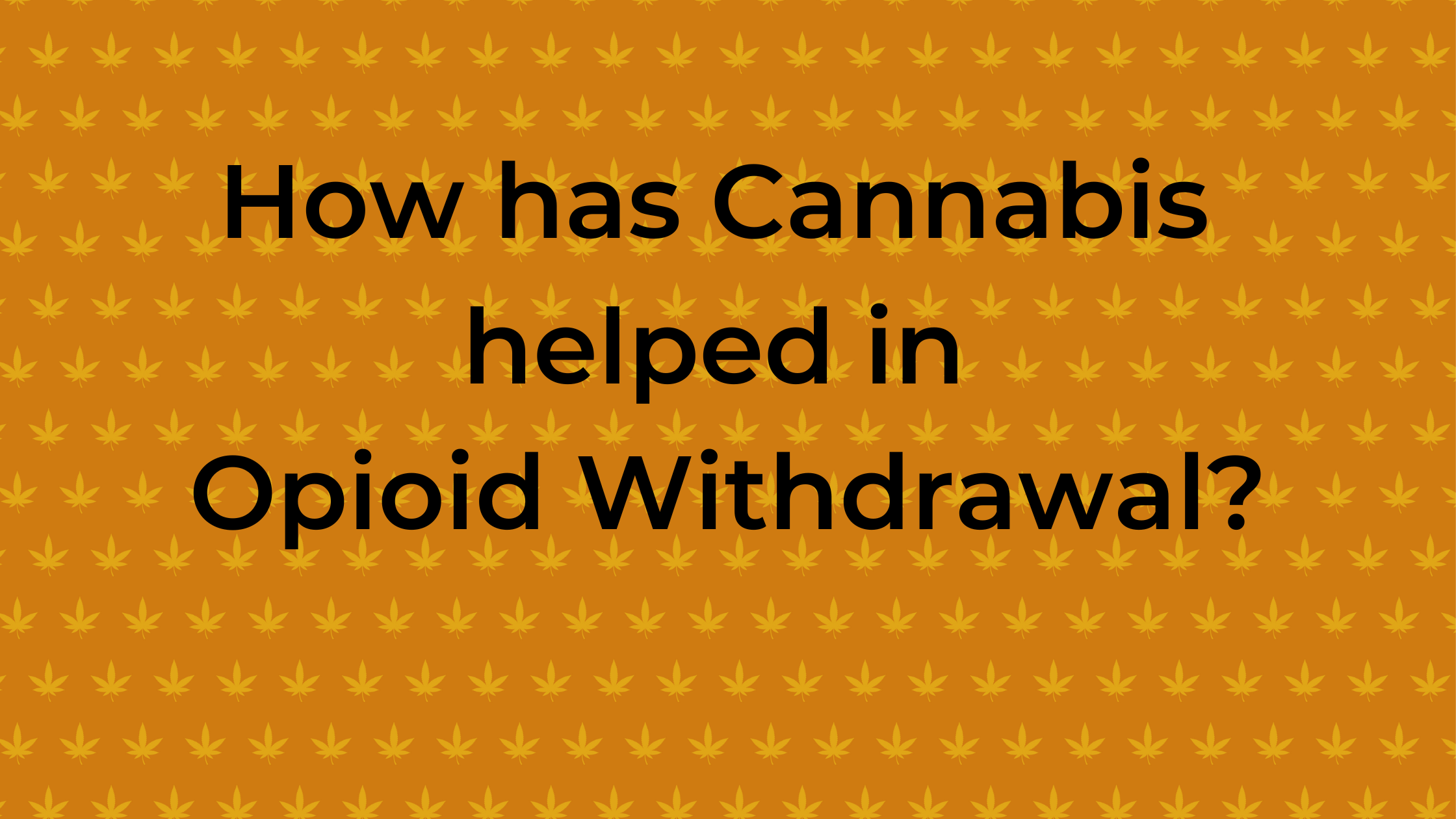 How Has Cannabis Helped In Opioid Withdrawal