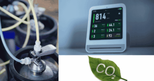 Setting up a CO2 control system in a cannabis grow room for better plant growth and higher yields.