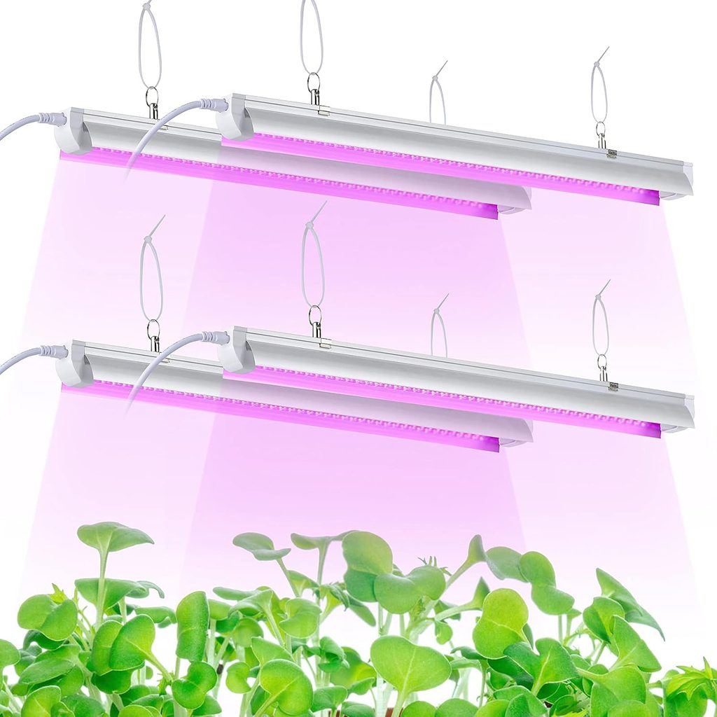 Grow Lights for Weed