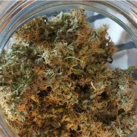 Auto Gelato Cake