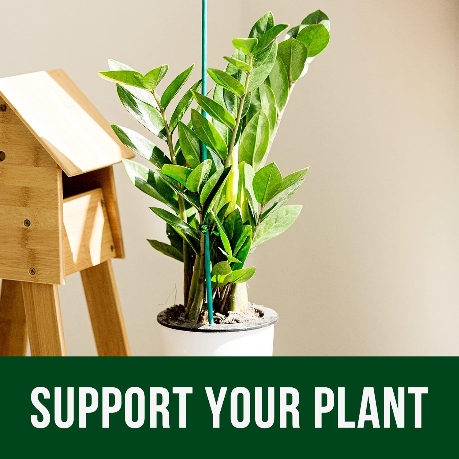 Best bamboo plant support stakes for stabilizing flowers, vegetables, and climbing plants in gardens and pots.