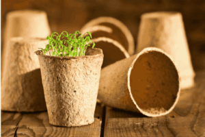 Best biodegradable seedling pots for eco-friendly plant starting and easy transplanting into gardens.