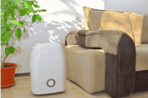Dehumidifiers for reducing indoor humidity and preventing mold in homes, grow rooms, and basements.