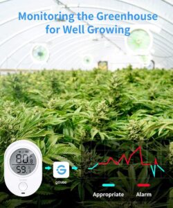 Best humidistats for accurate humidity monitoring and automatic control in homes, grow rooms, and greenhouses.