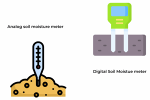 Soil moisture meter inserted into potted plant to check water levels near the root zone