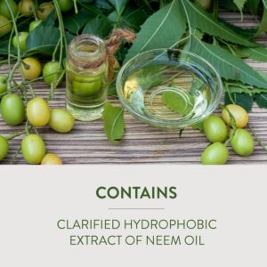Best neem oil spray for plants used to control pests and fungal diseases naturally in gardens and indoor plants.