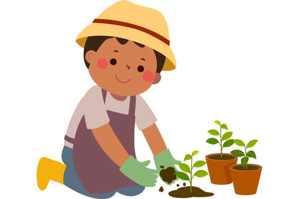 Best protective plant covers for shielding garden plants from frost, pests, and harsh weather conditions.