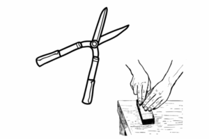 Best pruner sharpening tools for maintaining sharp blades on garden shears, pruners, and loppers.