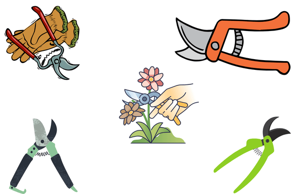 Best pruning shears for clean and precise cuts on garden plants, shrubs, and small branches.