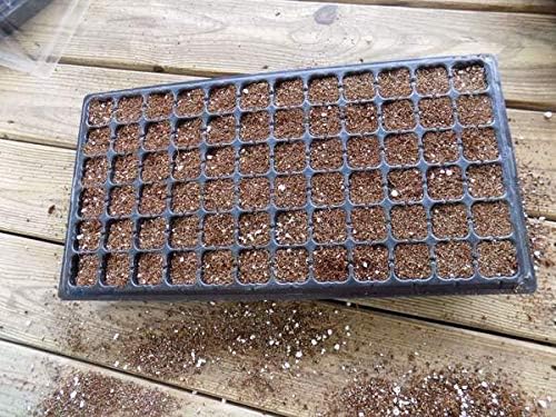 Best seed starting trays with labeled cells, humidity domes, and grow lights for healthy seedling development.