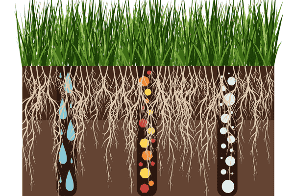 Best soil aerators for loosening compacted soil and improving lawn and garden health.