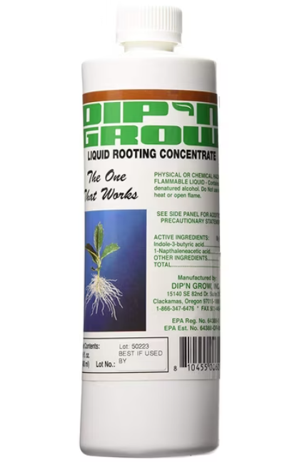 Best Rooting Hormone Products