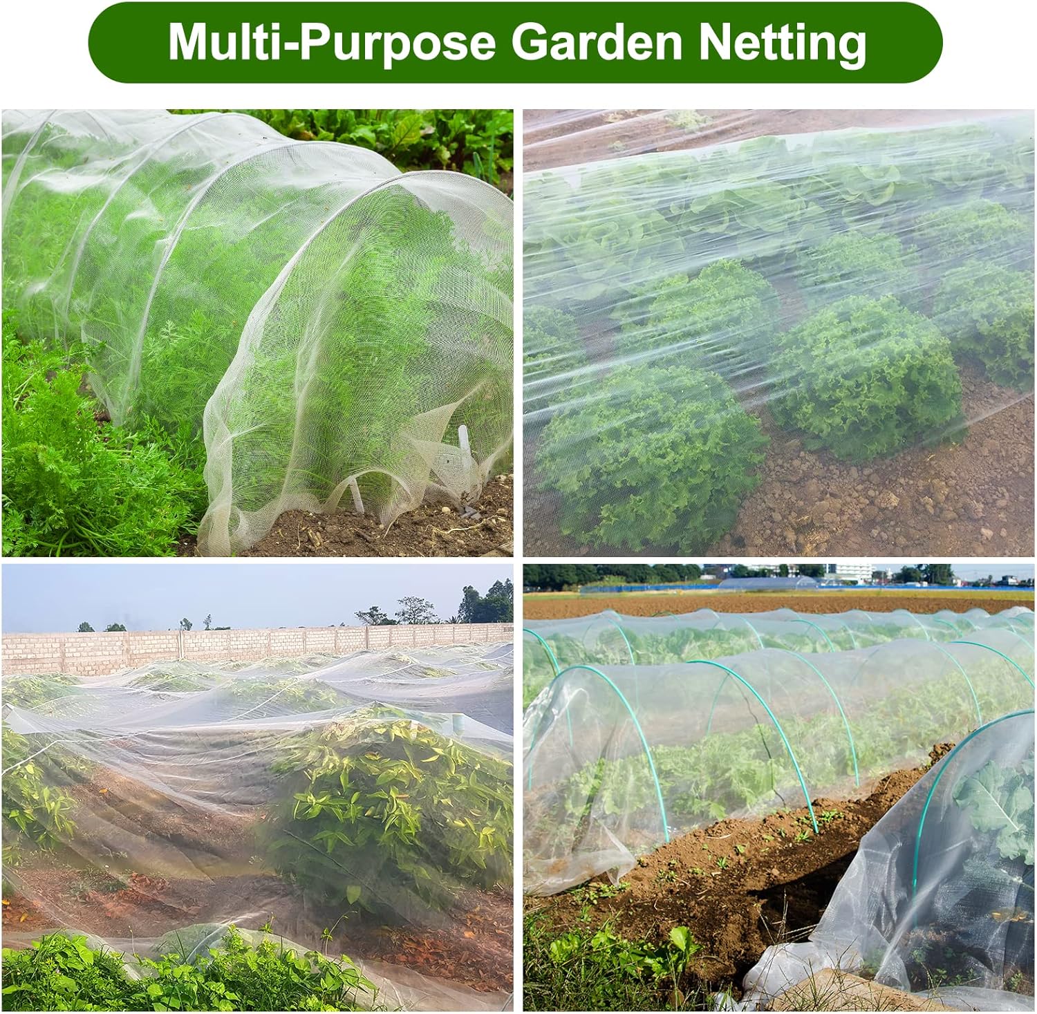 Protective garden netting covering vegetable plants to prevent pests and birds