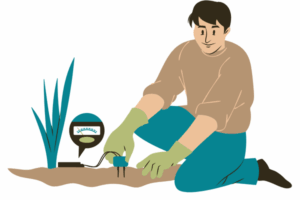 Soil test kits for measuring pH, nitrogen, phosphorus, and potassium levels in garden or lawn soil.
