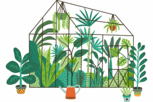 Top greenhouse kits for backyard gardening, providing controlled environments for year-round plant growth.