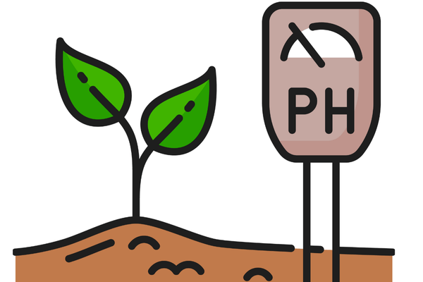 Top soil pH test kits for accurate garden results, measuring soil acidity and alkalinity for optimal plant health.