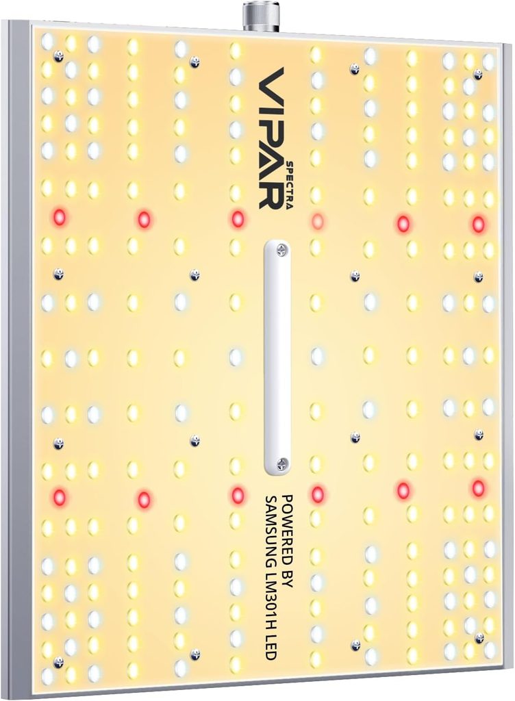 VIPARSPECTRA XS1000
