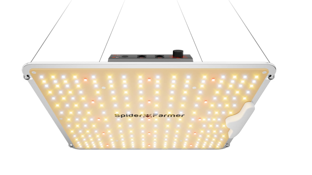 Best grow lights