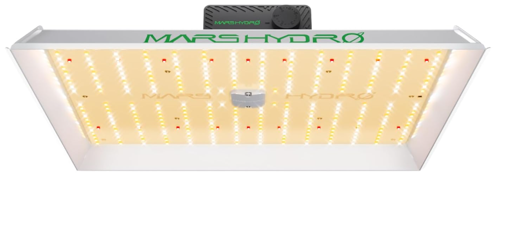 MARS HYDRO TS1000