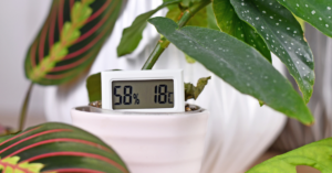 Cannabis Temperature and Humidity requirements in all stages of growth