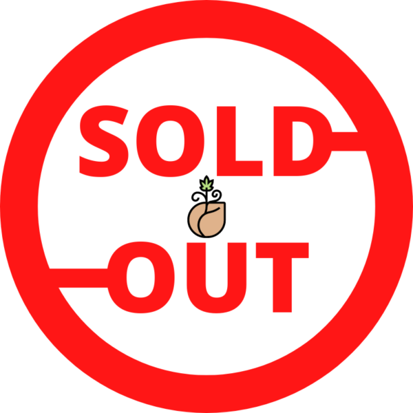 Seed Connect Sold Out Seeds