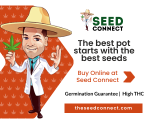 TheSeedConnect