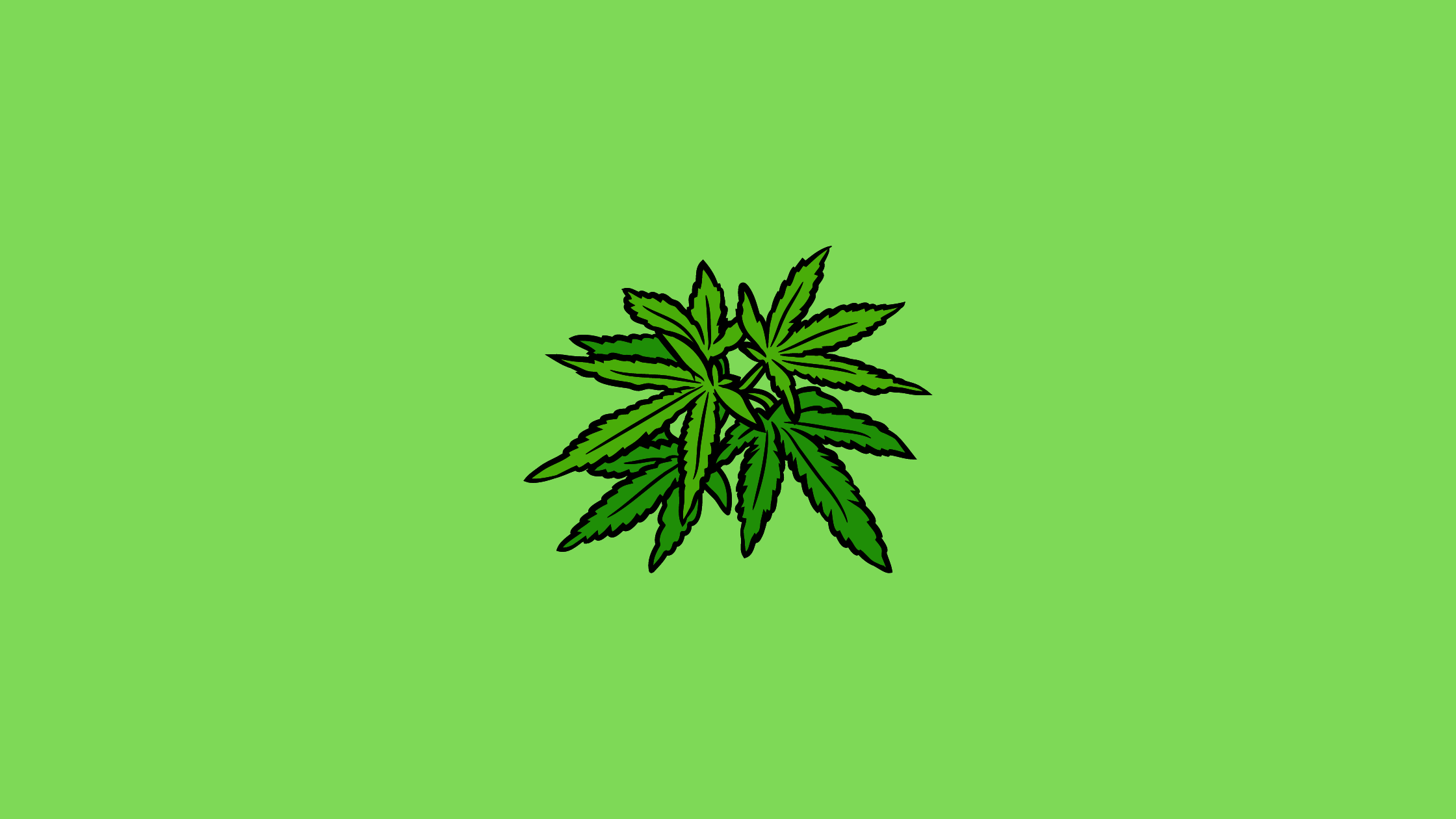 10 Common Marijuana Leaf Problems