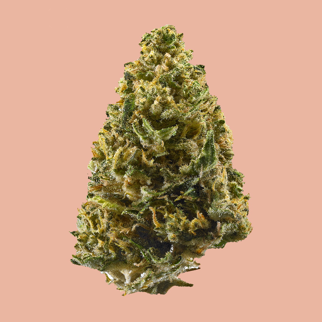 Cookie Northern Lights Feminized Seeds