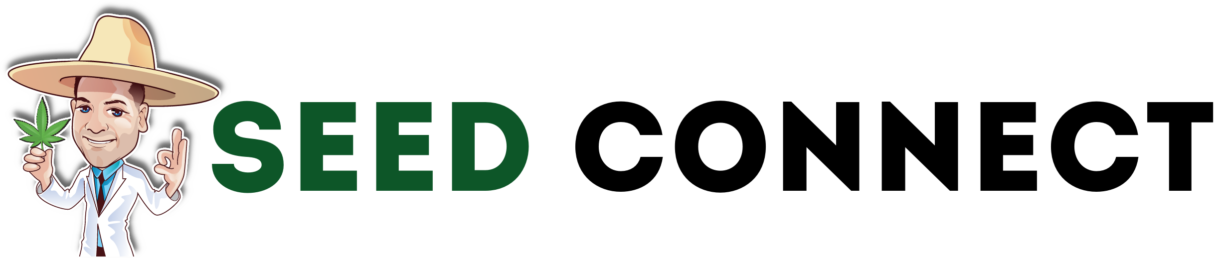 Lemon Haze Seeds USA The Seed Connect