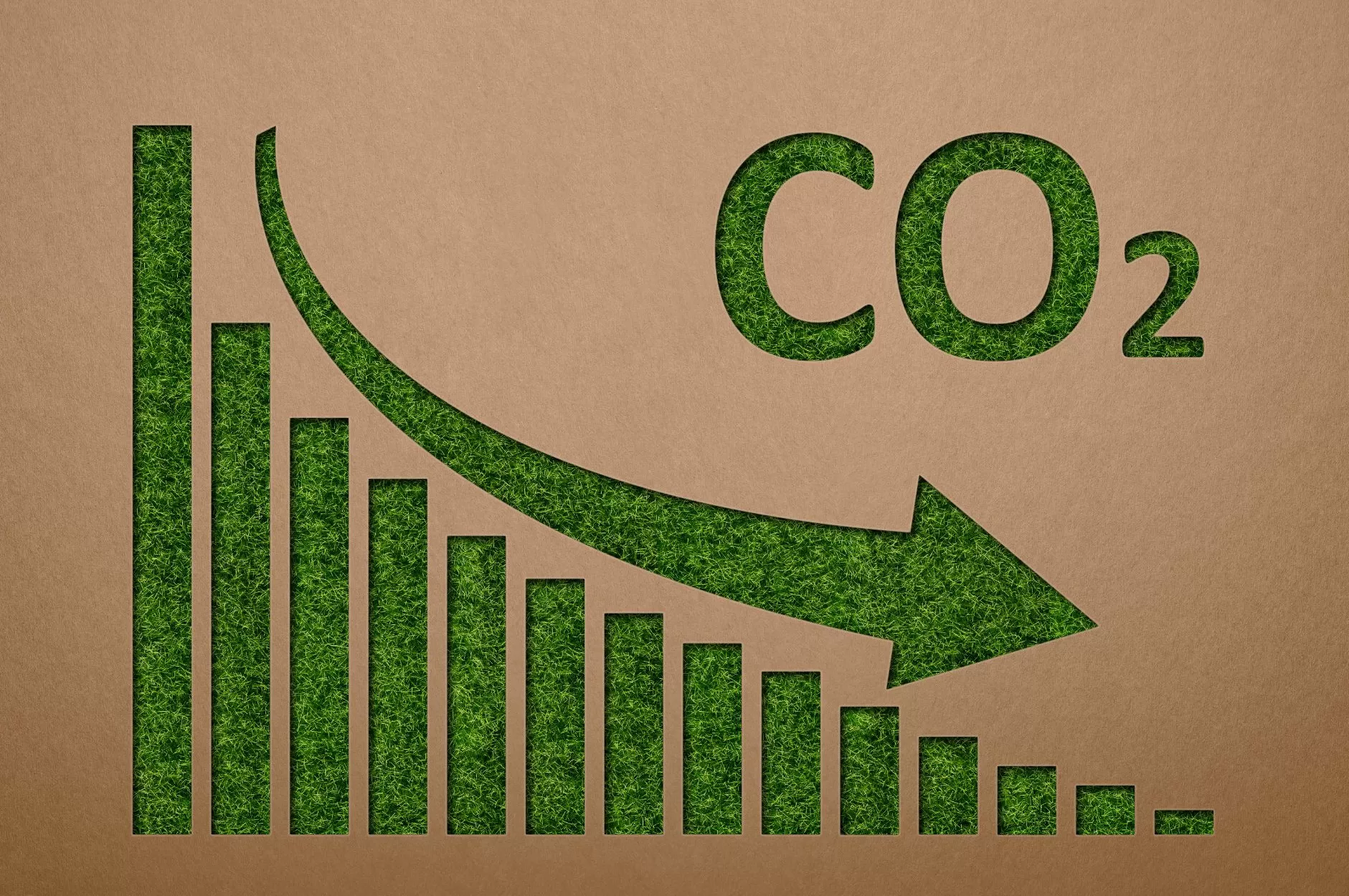 Effect Of Co2 Levels