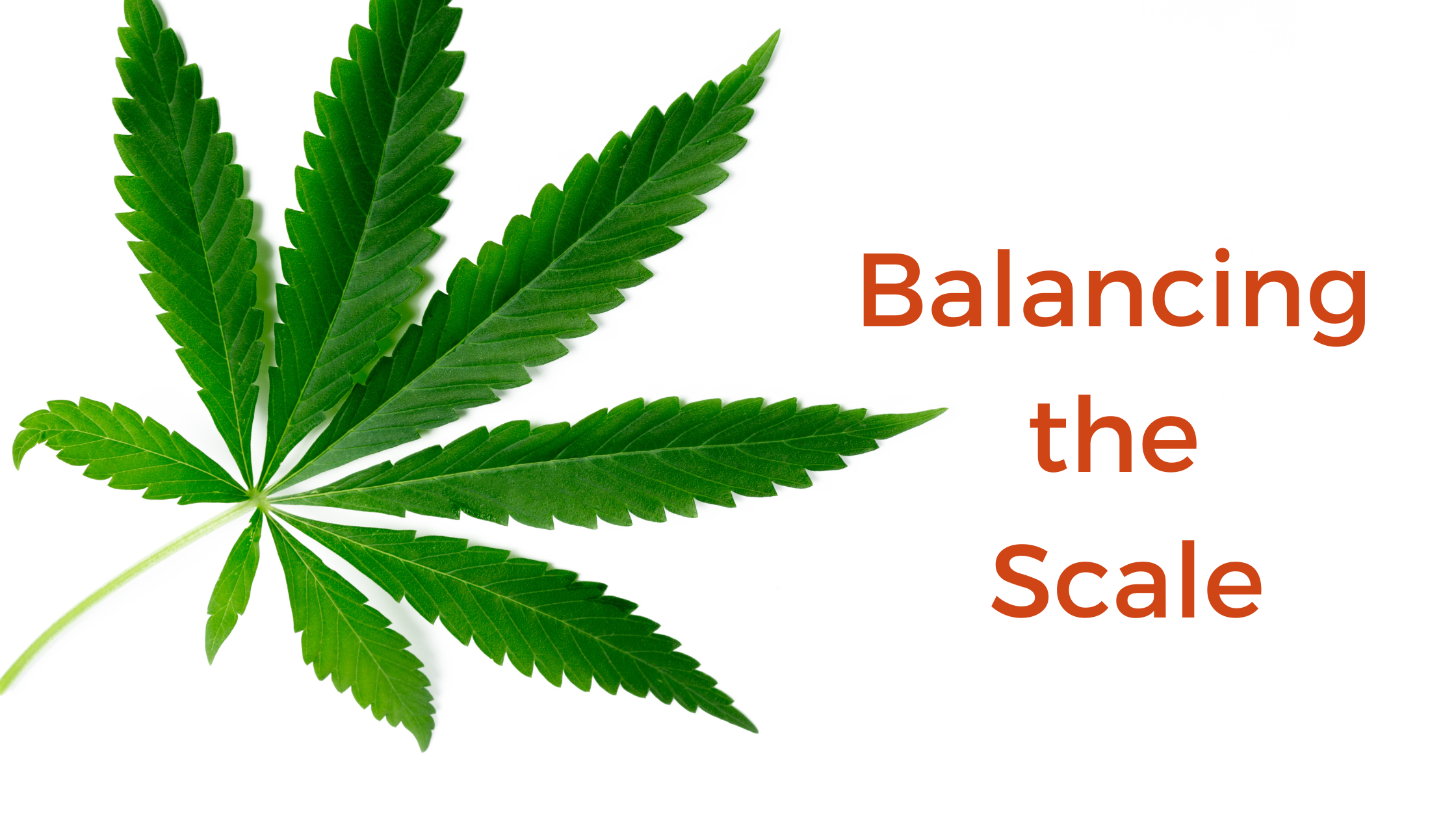 THCV Weight Loss Insights: Choosing Between Indica And Sativa For ...