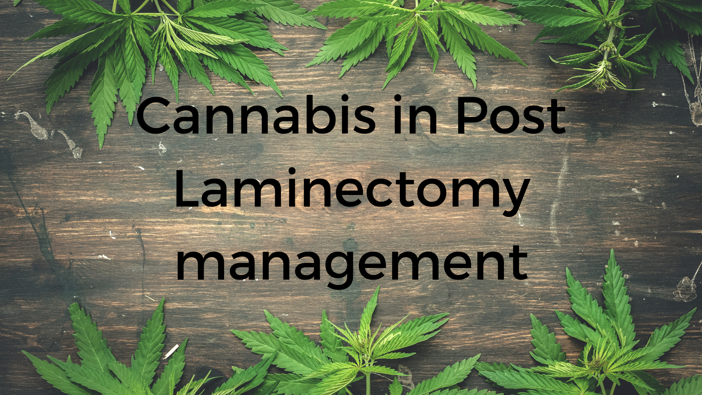 Cannabis In Post Laminectomy Management