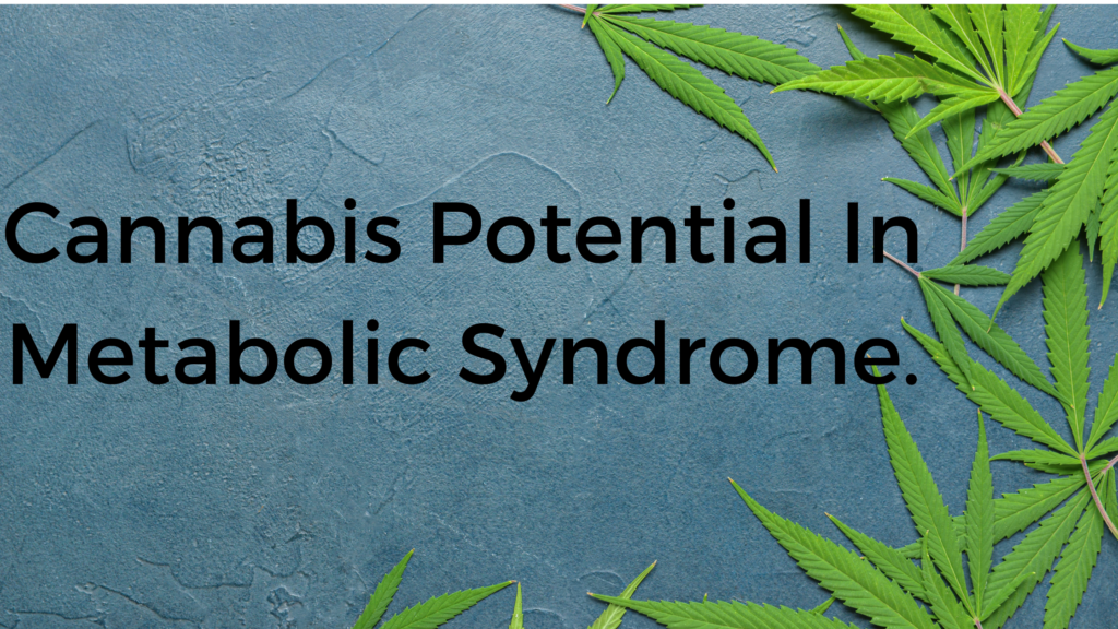 Unveiling The Therapeutic Potential Of Cannabis Strains In Metabolic ...