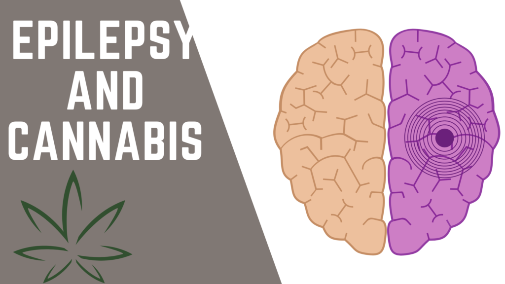 An Evidence Based Perspective In Managing Epilepsy With Medical   Epilepsy And Cannabis 1024x576 