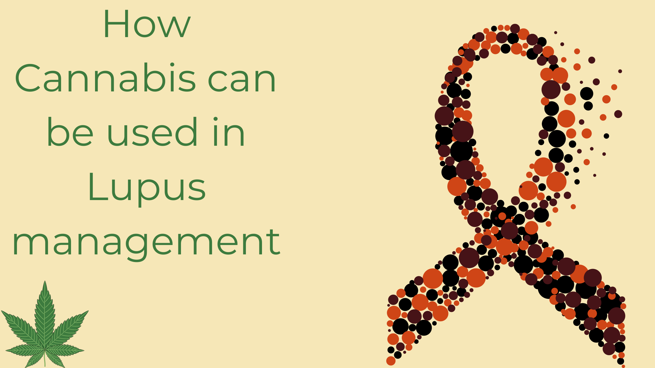 How Cannabis Can Be Used In Lupus Management