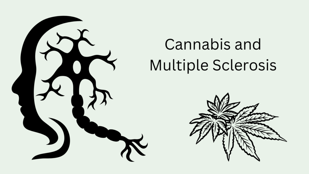 Managing Multiple Sclerosis With Medical Cannabis: An Evidence-Based ...