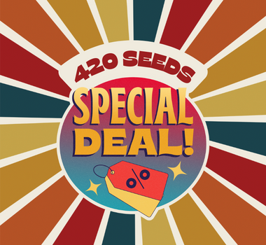 Maijuana Seeds Deals