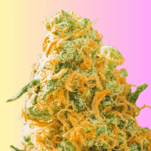 Auto Lemon Zkittlez Autoflowering Seeds