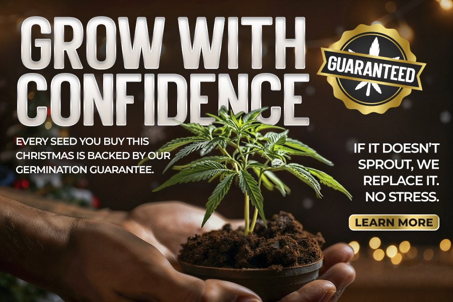 Seed Connect – Germination Guarantee